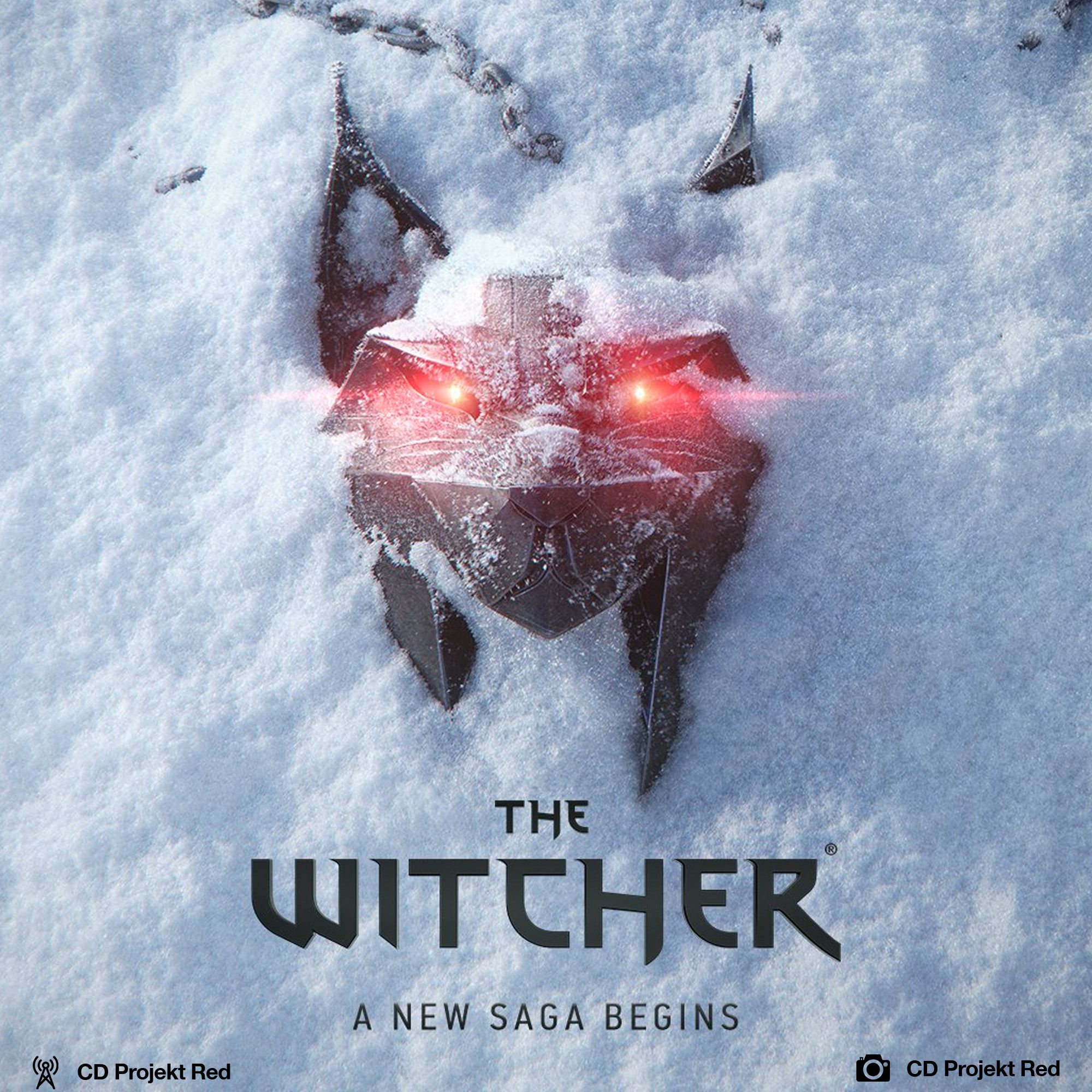 The new Witcher game announced