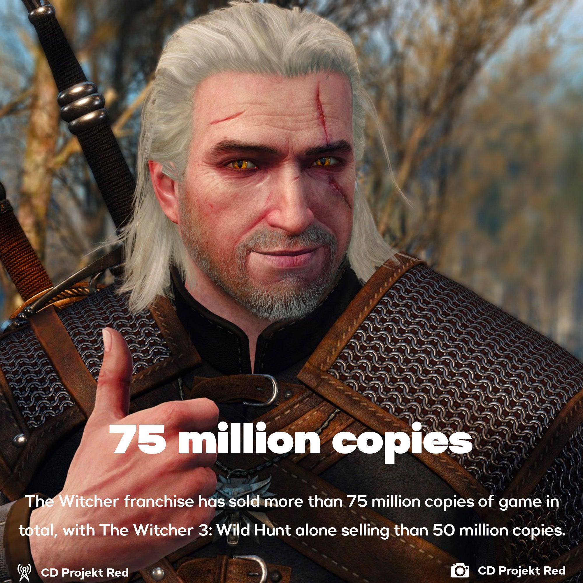 The Witcher Games